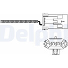 DELPHI Lambdasonde