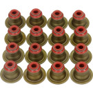 12-37281-01 Dichtungssatz, Ventilschaft