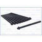 Zylinderkopfschraubensatz | 81061000