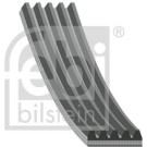 FEBI BILSTEIN Rillenriemen | 28856