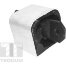 Lagerung, Motor | TED99764