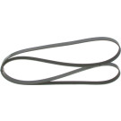 1 987 946 079 Keilrippenriemen