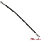 BREMBO Bremsschlauch | T 50 008