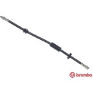 BREMBO Bremsschlauch | T 86 035