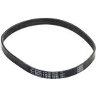 CONTINENTAL CTAM Keilrippenriemen 6PK907 EXTRA