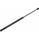 VAICO Gasfeder, Koffer-/Laderaum V10-2076