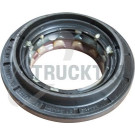 TRUCKTEC AUTOMOTIVE Versiegelung 02.67.251