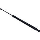 Gasfeder, Hinten L 549,5 510N Renault Grand Scenic 16 LIFT-O-MAT® 699825