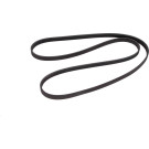 1 987 946 045 Keilrippenriemen