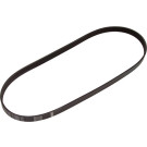 1 987 947 946 Keilrippenriemen