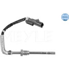 SENSOR, ABGASTEMPERATUR | 2148000048