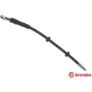 BREMBO Bremsschlauch | T 86 023