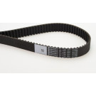 Zahnriemen | CT1134