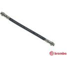 BREMBO Bremsschlauch | T 61 042