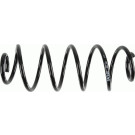 Sachs Fahrwerksfeder Citroen T. C2 1.4/1.4Hdi/1.6/1.6Hdi | 994 350