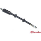 BREMBO Bremsschlauch | T 85 052