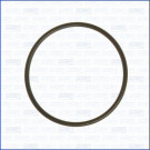 16057900 Dichtung, Ölfiltergehäuse