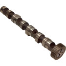 Nockenwelle | 50006303