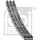 FEBI BILSTEIN Rillenriemen | 28741