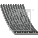 FEBI BILSTEIN Rillenriemen | 45237
