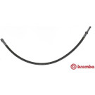 BREMBO Bremsschlauch | T 50 056