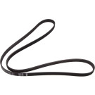 1 987 946 022 Keilrippenriemen