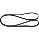 1 987 946 238 Keilrippenriemen