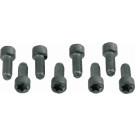 SACHS Schraubensatz, Schwungrad