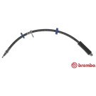 BREMBO Bremsschlauch | T 23 193