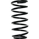 SPIDAN Fahrwerksfeder | 48499