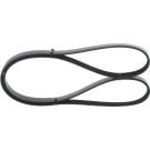 1 987 946 003 Keilrippenriemen