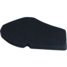 Motorluftfilter. Suzuki Burgman 125û150 Cc 2002/2006 | 10 060 1231