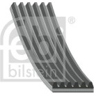 FEBI BILSTEIN Rillenriemen | 28930