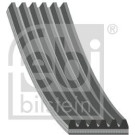 FEBI BILSTEIN Rillenriemen | 29010