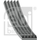 FEBI BILSTEIN Rillenriemen 28889