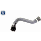 VAICO Kühlerschlauch