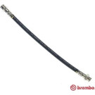 BREMBO Bremsschlauch | T 61 044