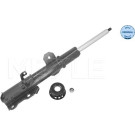 Stoßdämpfer | 266230031