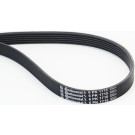 CONTINENTAL CTAM Keilrippenriemen 6PK1715