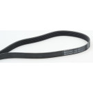 CONTINENTAL CTAM Keilrippenriemen 6PK1453