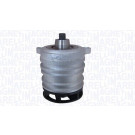 MAGNETI MARELLI Wasserpumpe 352316171197