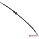 BREMBO Bremsschlauch | T 50 027