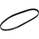 1 987 947 938 Keilrippenriemen