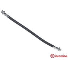 BREMBO Bremsschlauch | T 16 025