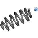 Meyle Fahrwerksfeder Audi | 100 739 0051