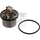 FEBI BILSTEIN Thermostat | 31967