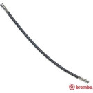 BREMBO Bremsschlauch | T 85 130