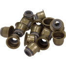 Dichtungssatz, Ventilschaft | 12-53449-01 Dichtungssatz, Ventilschaft | 12-53449-01