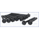 Zylinderkopfschraubensatz | 81007100