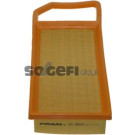 FRAM Luftfilter CA9924